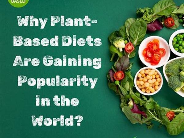 Why Plant-based Meals Are Gaining Popularity