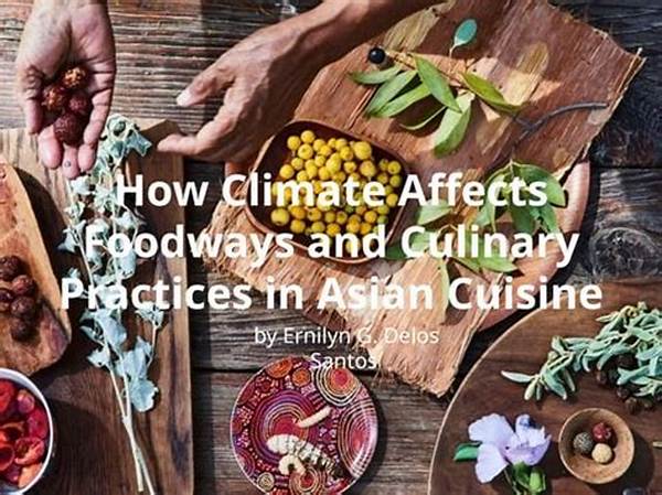 How Climate Affects Meal Prep In Indonesia’s Humid Regions